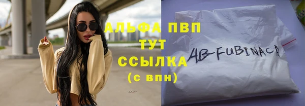 прущие грибы Белокуриха