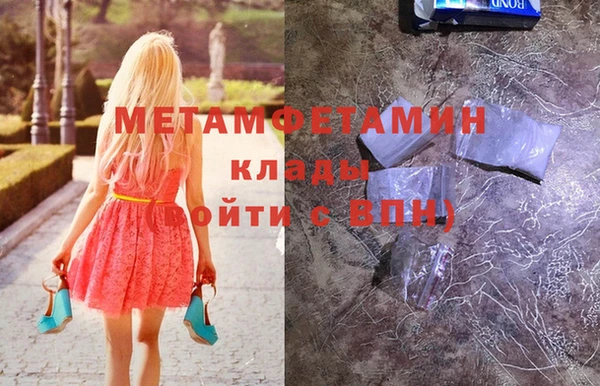 прущие грибы Белокуриха