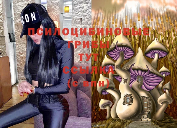 сатива Арсеньев