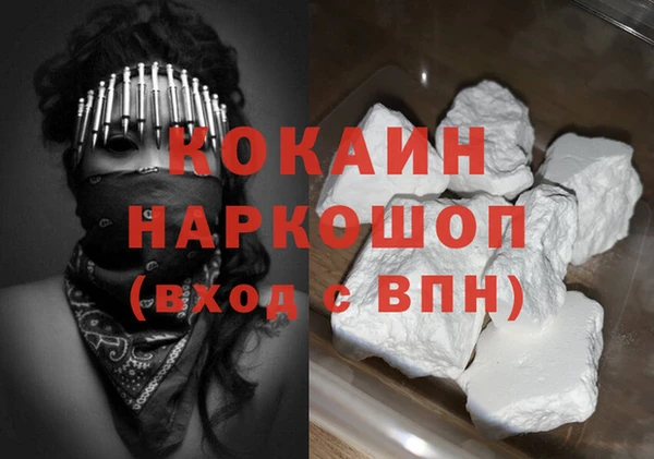 прущие грибы Белокуриха