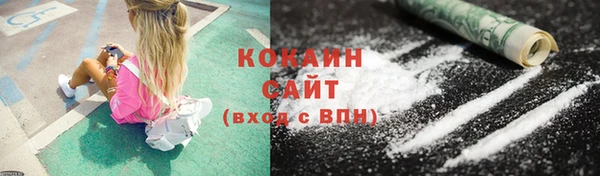 прущие грибы Белокуриха