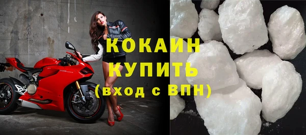 прущие грибы Белокуриха